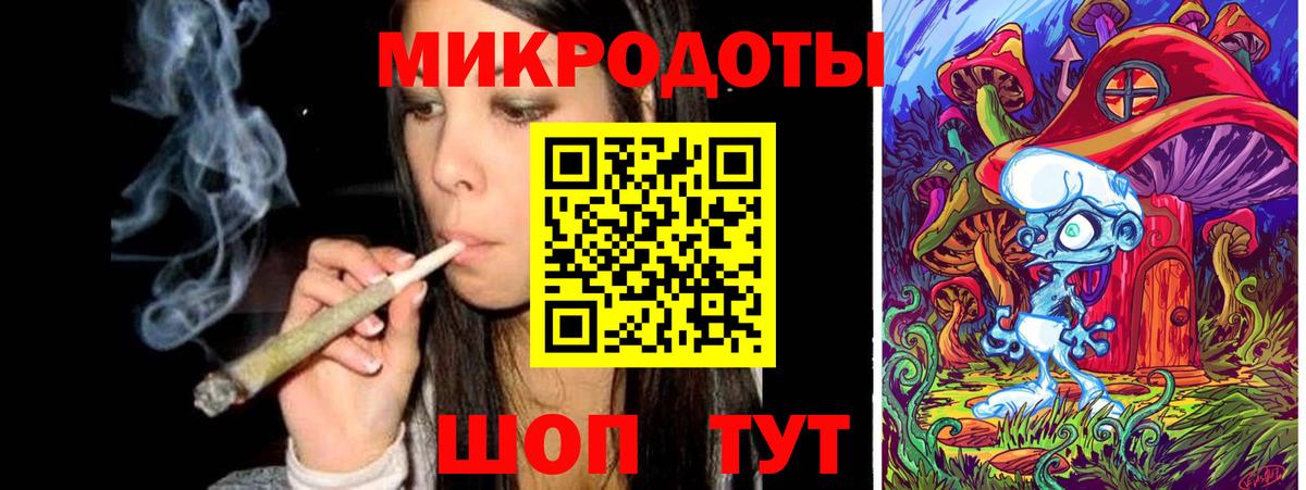 Псилоцибиновые грибы Psilocybe Чернушка